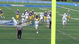 Cole Ostendorf's highlights Lyons Township High School