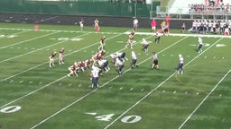 Reedsburg football highlights vs. Edgewood High School