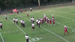 Cutter-Morning Star football highlights vs. Horatio