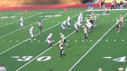 Althoff Catholic football highlights Cahokia High School