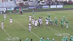 Ashley football highlights West Brunswick High School