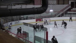 Sartell-St. Stephen girls ice hockey highlights vs. Alexandria High