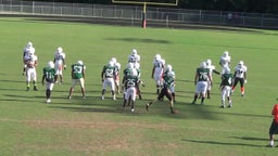 Nidarius Alexander's highlights vs. Spring Game Green vs White