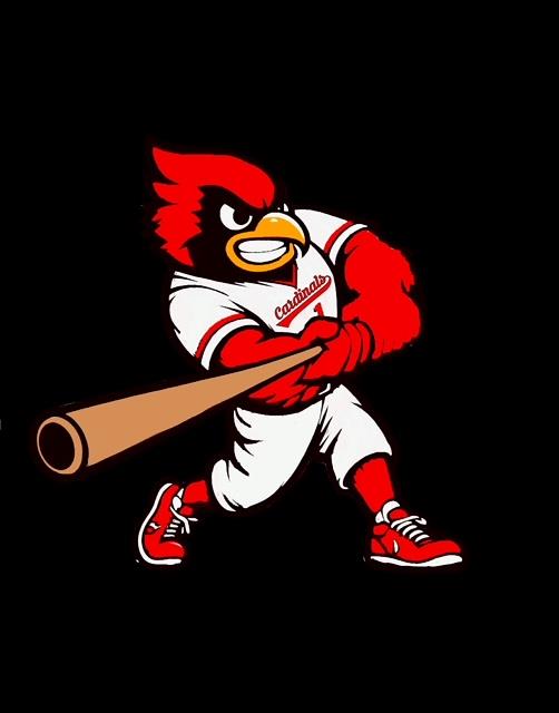 Josh Bobbitt mugshot