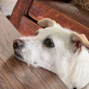 undefined undefined profile photo