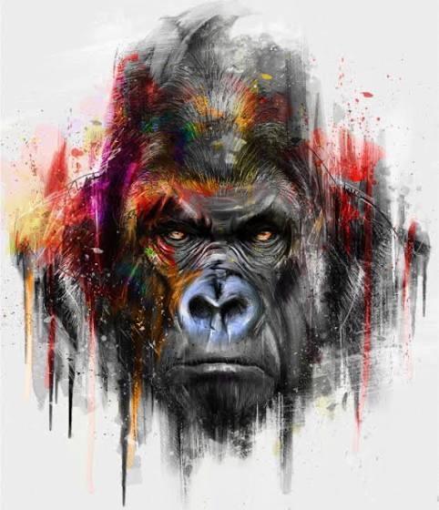 undefined undefined profile photo