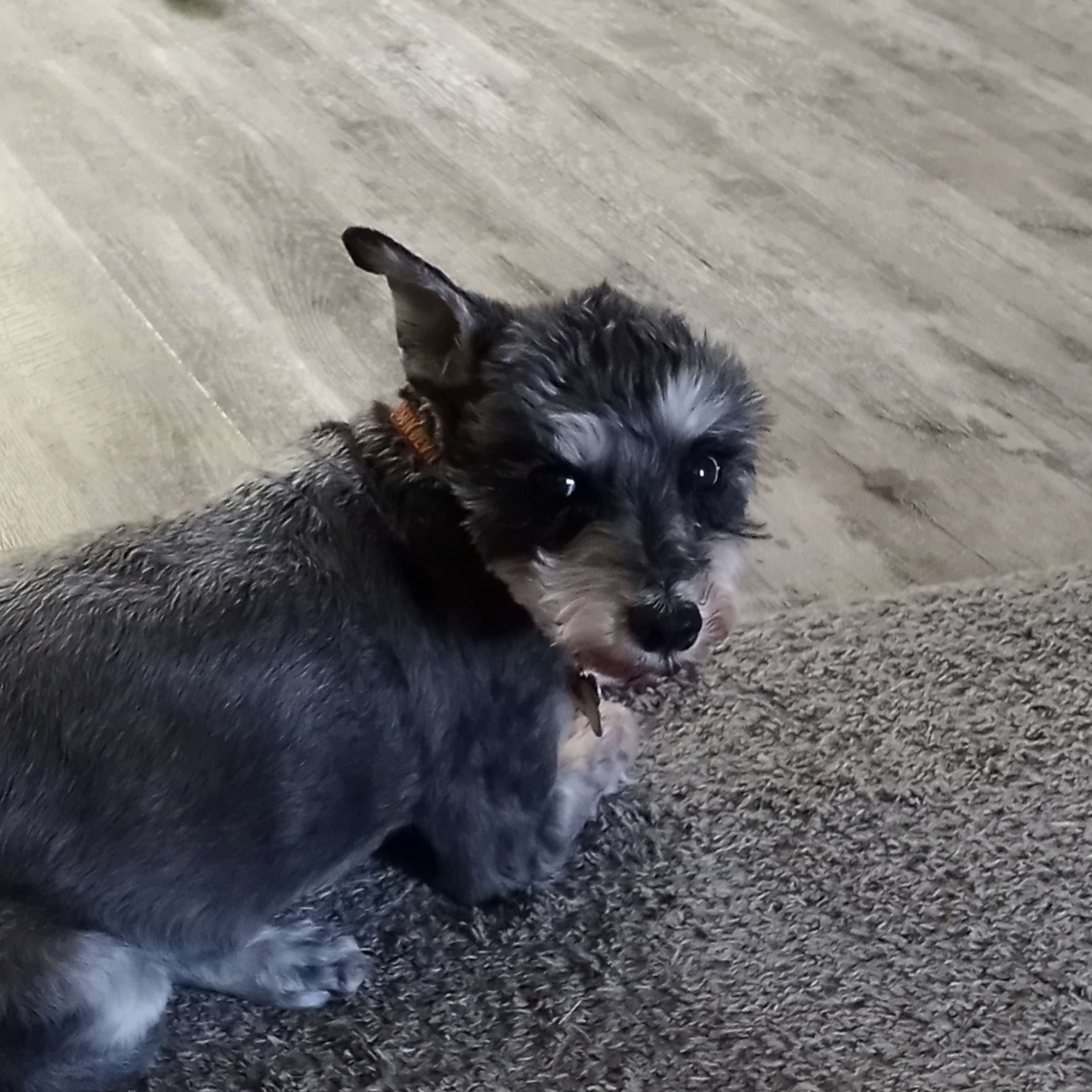 undefined undefined profile photo