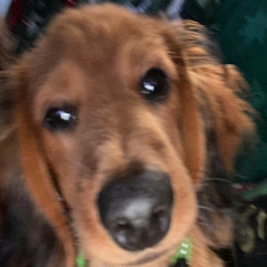 undefined undefined profile photo