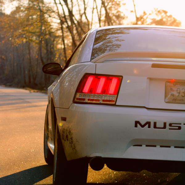 undefined undefined profile photo