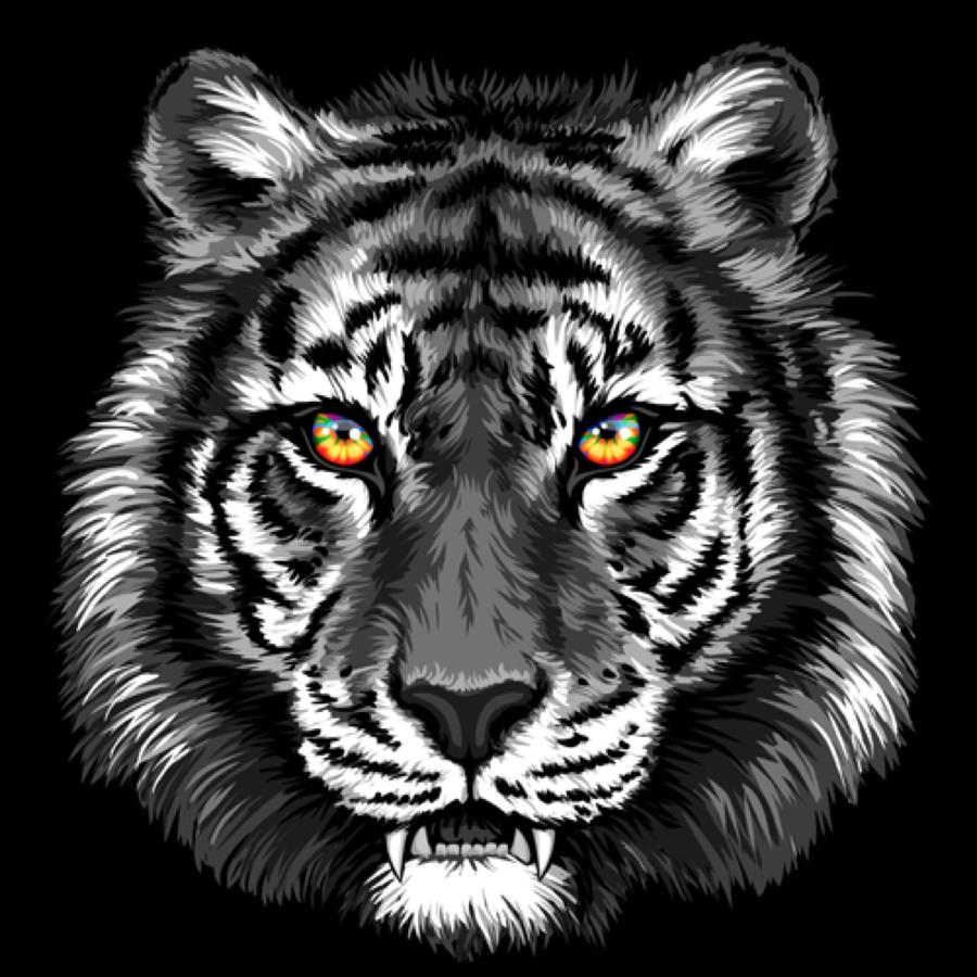 undefined undefined profile photo