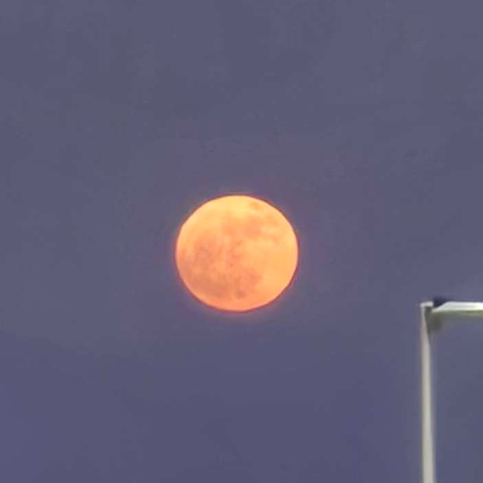 Sigifredo Cruz mugshot