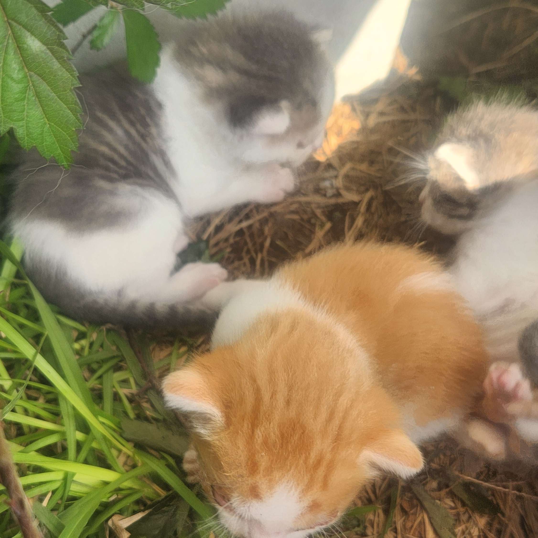 undefined undefined profile photo