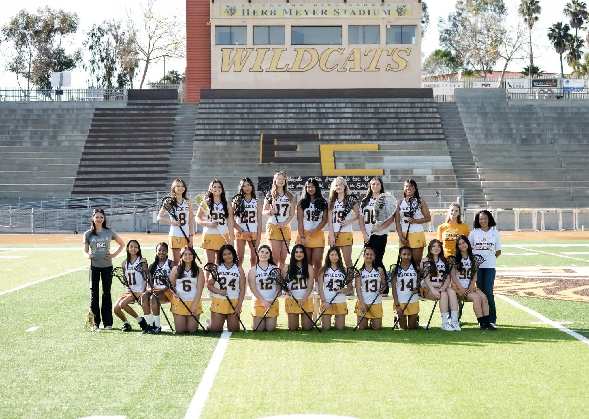 Lydia Ells-McLaughlin mugshot