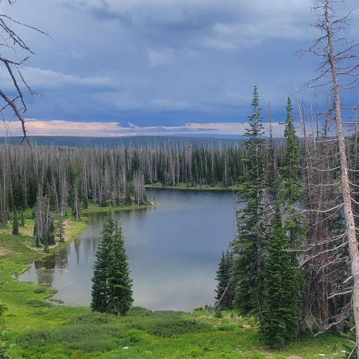 undefined undefined profile photo