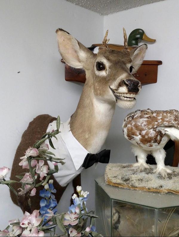 undefined undefined profile photo