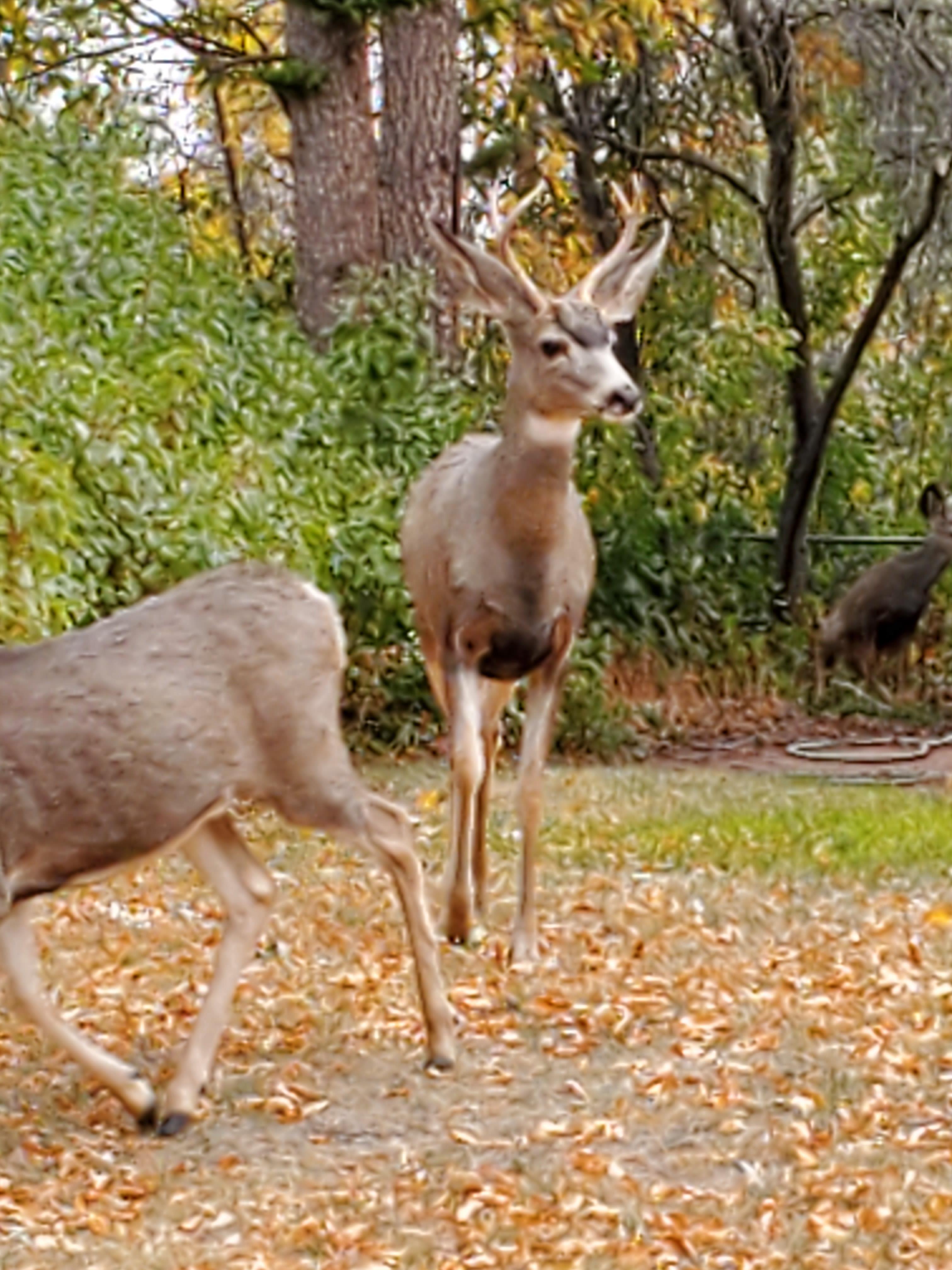 undefined undefined profile photo