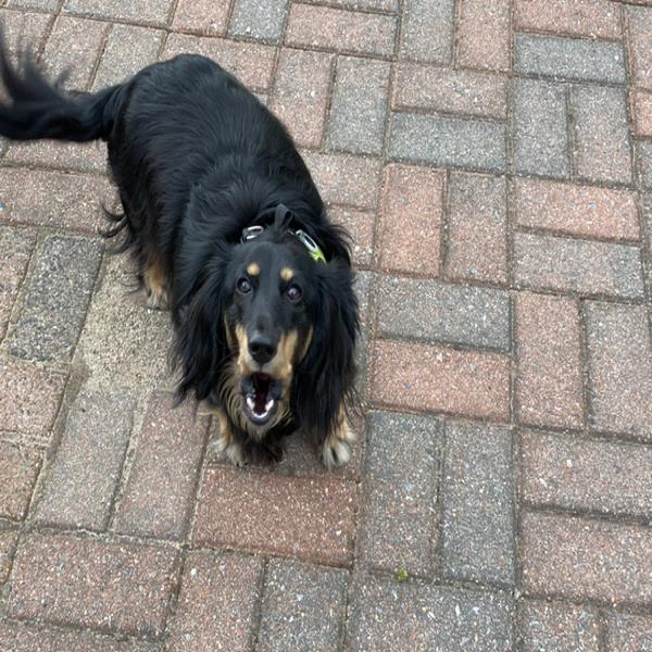 undefined undefined profile photo