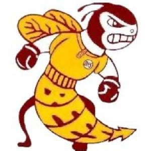 Cameron Shepherd mugshot