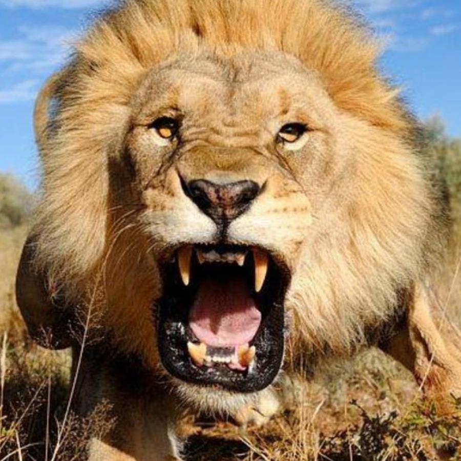 undefined undefined profile photo