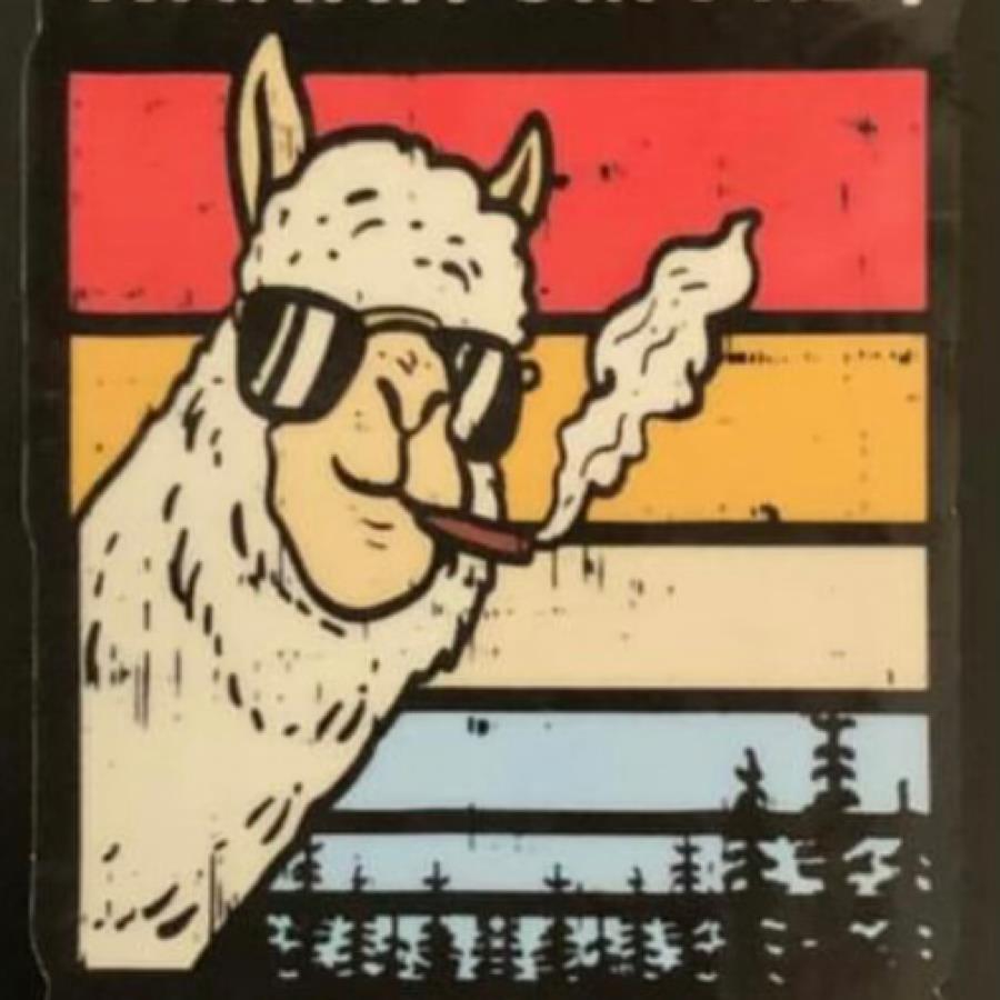 Ryan O'Connor mugshot