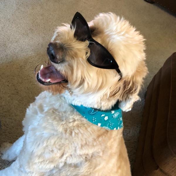 undefined undefined profile photo