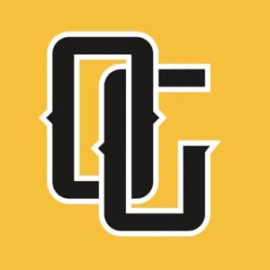 Wade Wilkes Jr. mugshot