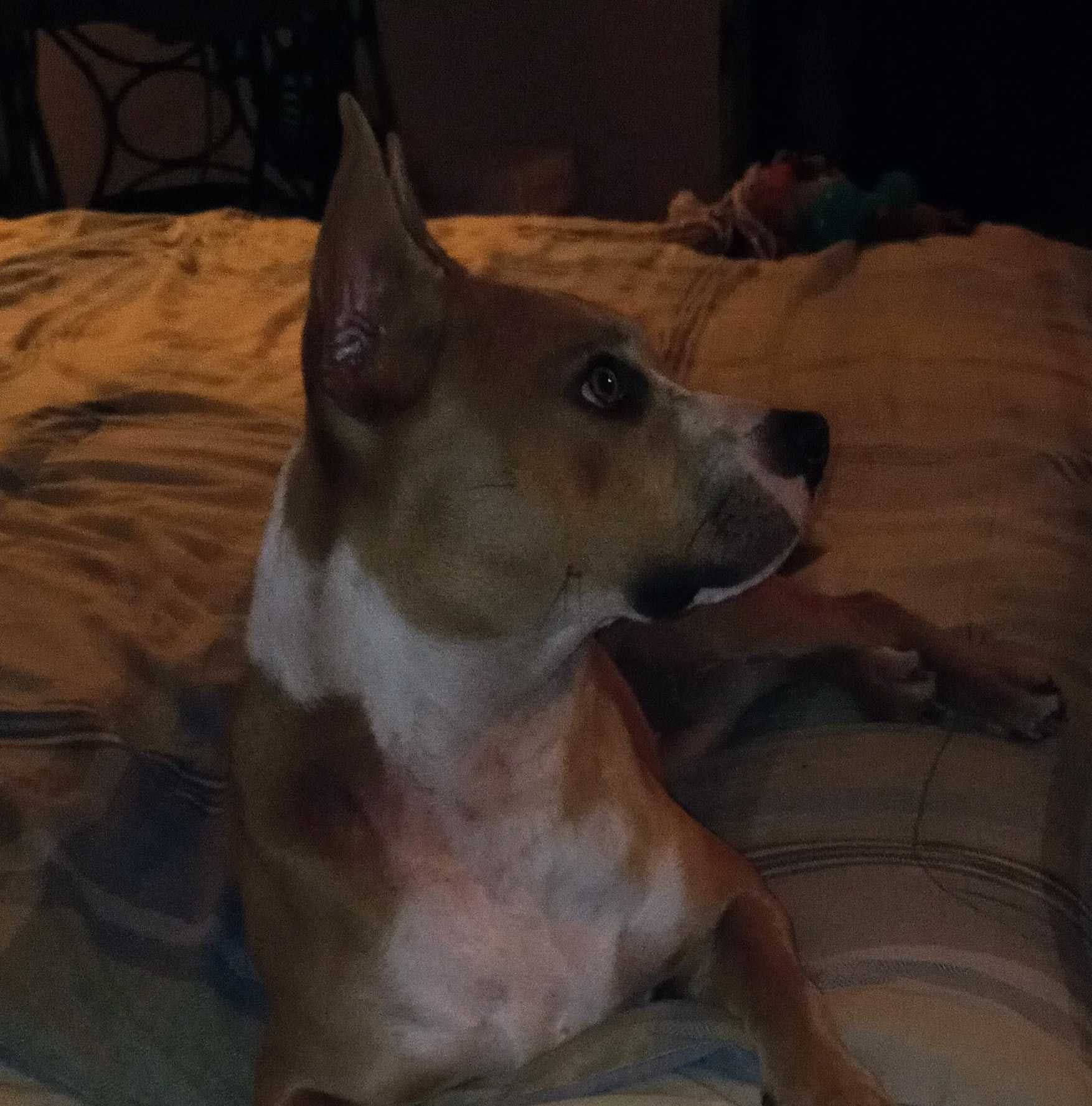 undefined undefined profile photo