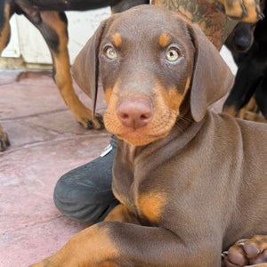 undefined undefined profile photo