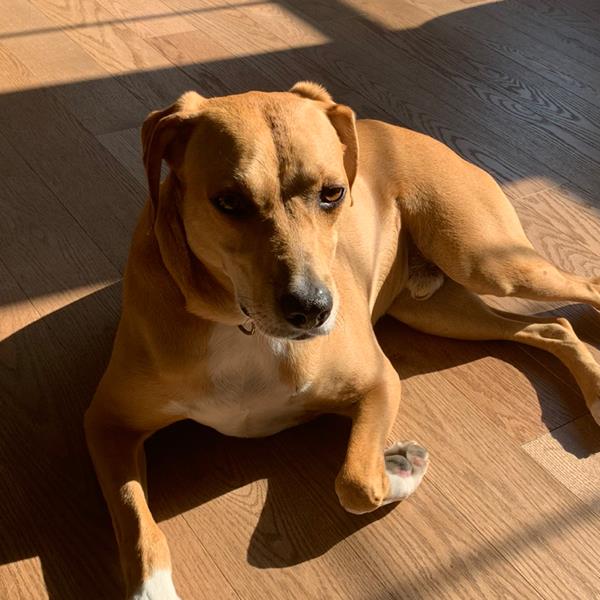 undefined undefined profile photo