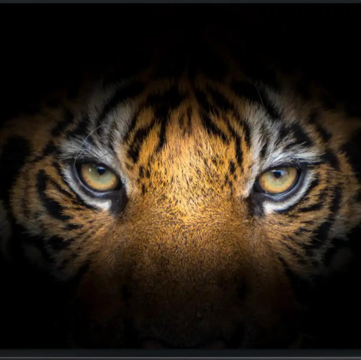 Silvino Perez salgado mugshot