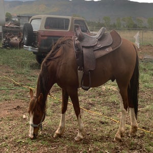 Epifanio Atencio mugshot