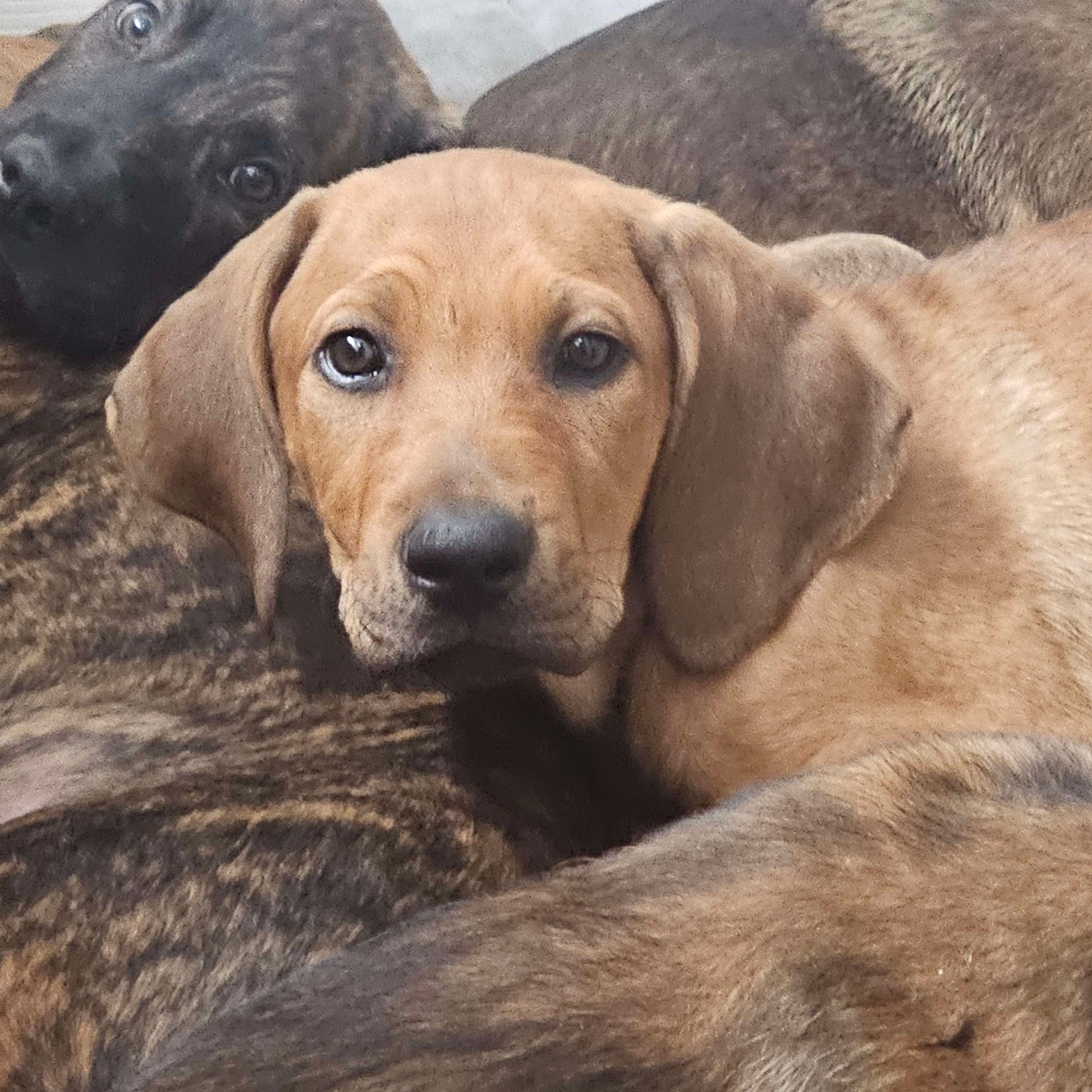 undefined undefined profile photo