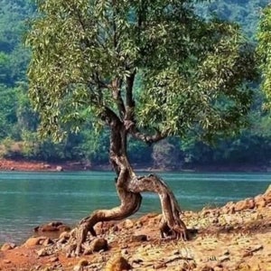 undefined undefined profile photo