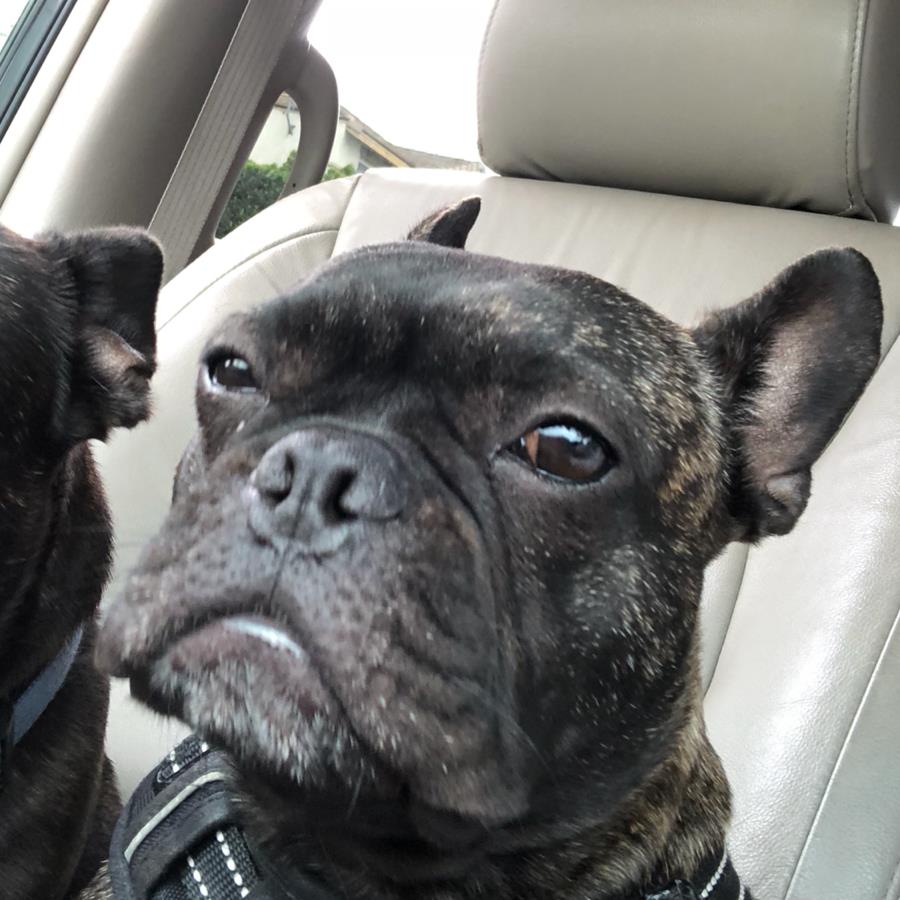 undefined undefined profile photo