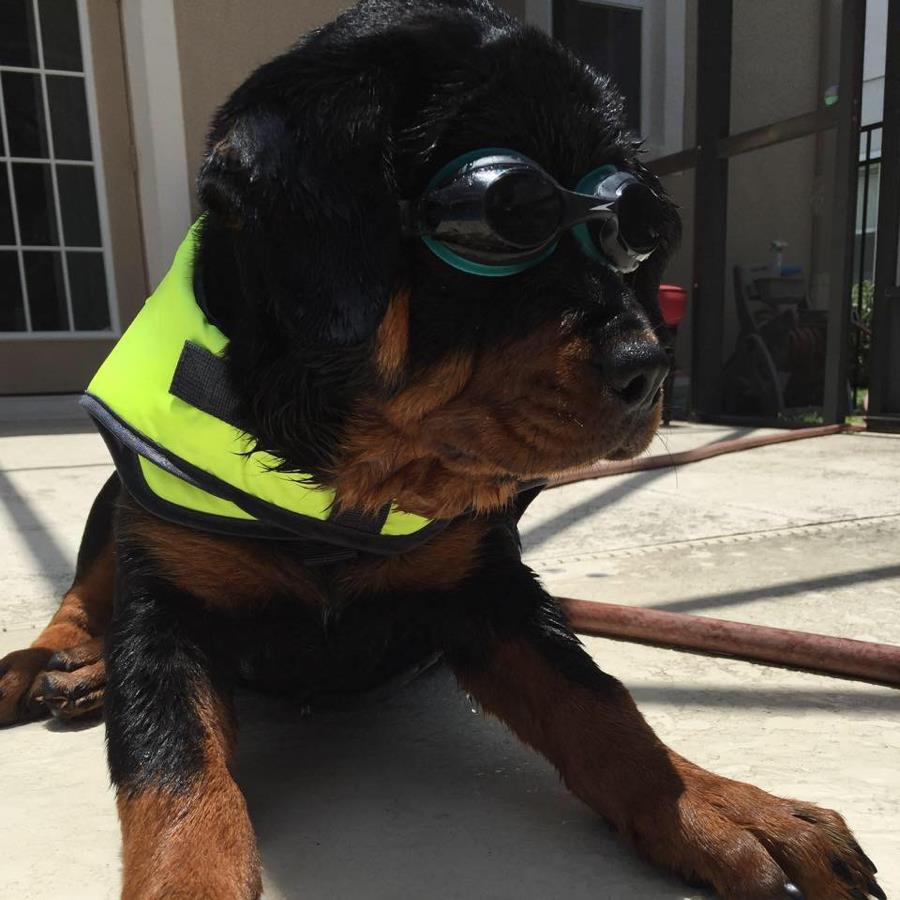 undefined undefined profile photo