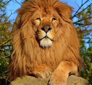 undefined undefined profile photo