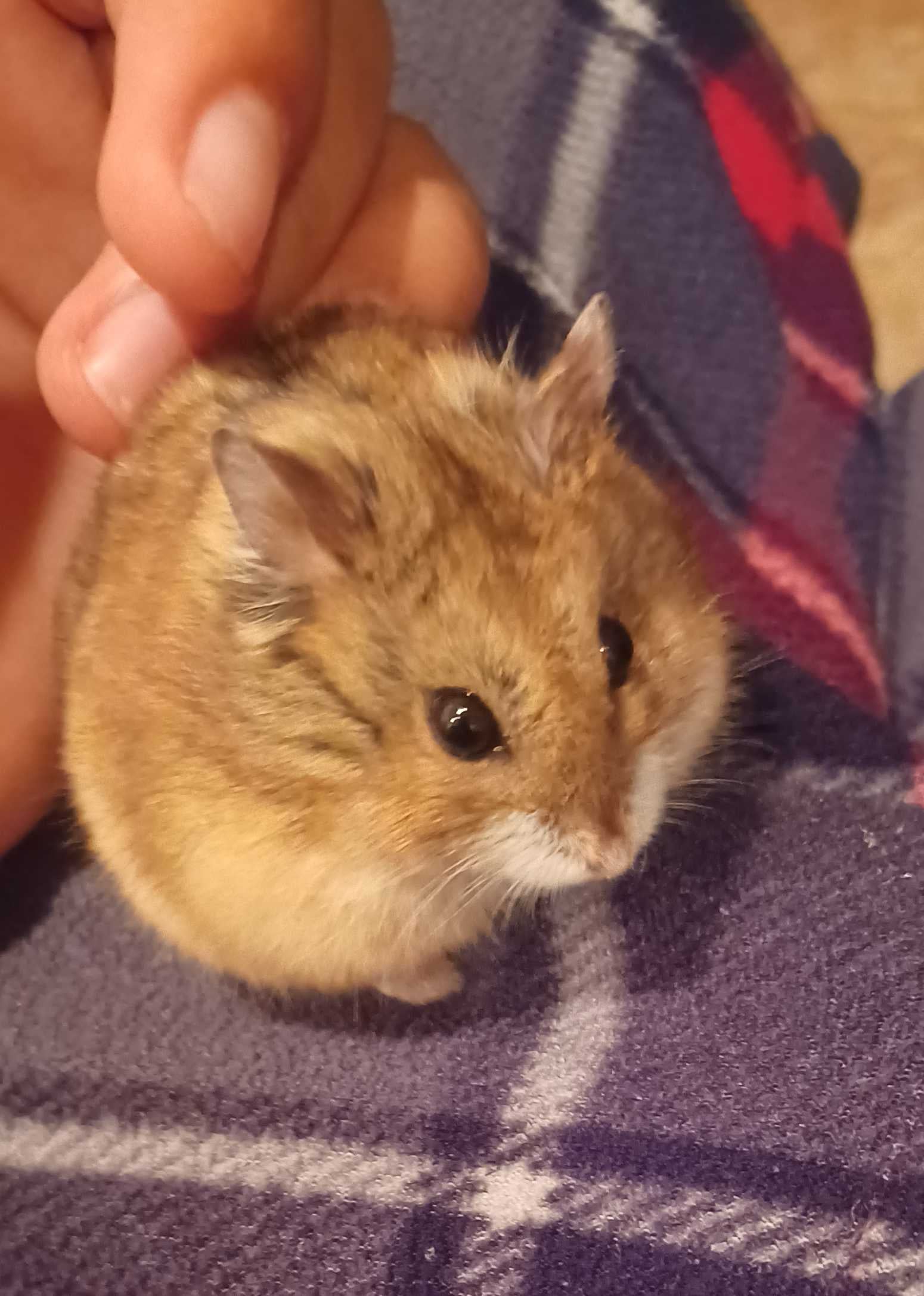 undefined undefined profile photo