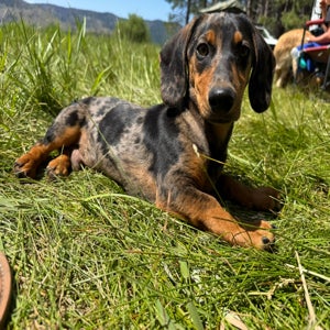 undefined undefined profile photo