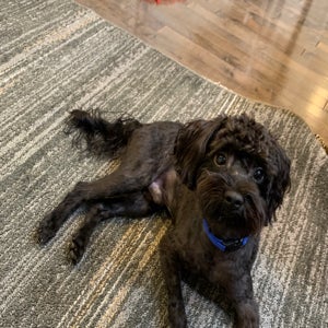 undefined undefined profile photo