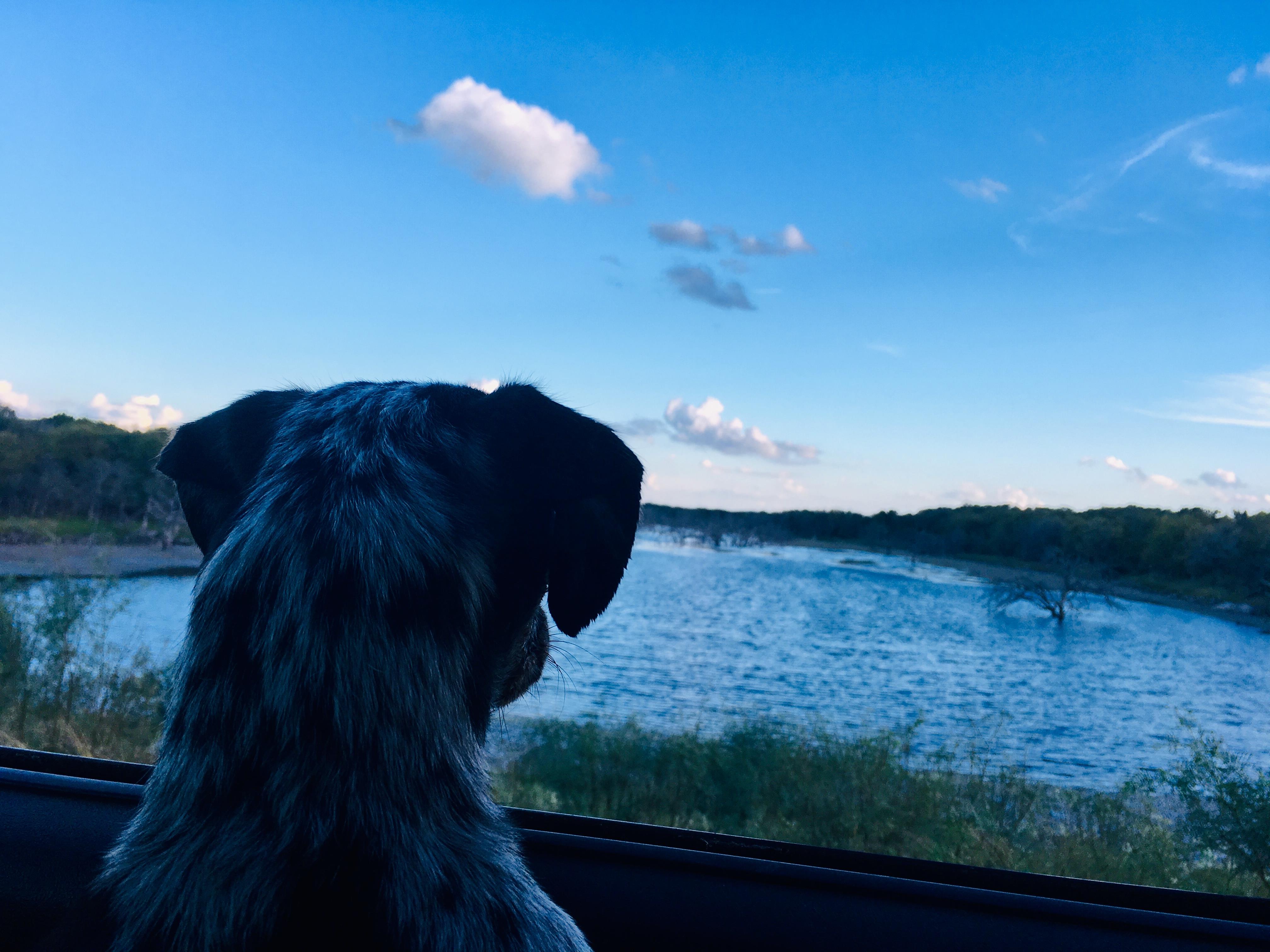 undefined undefined profile photo