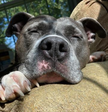 undefined undefined profile photo