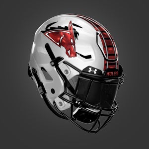 Justin Townsend mugshot