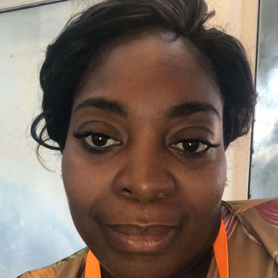 Joy Fountain mugshot