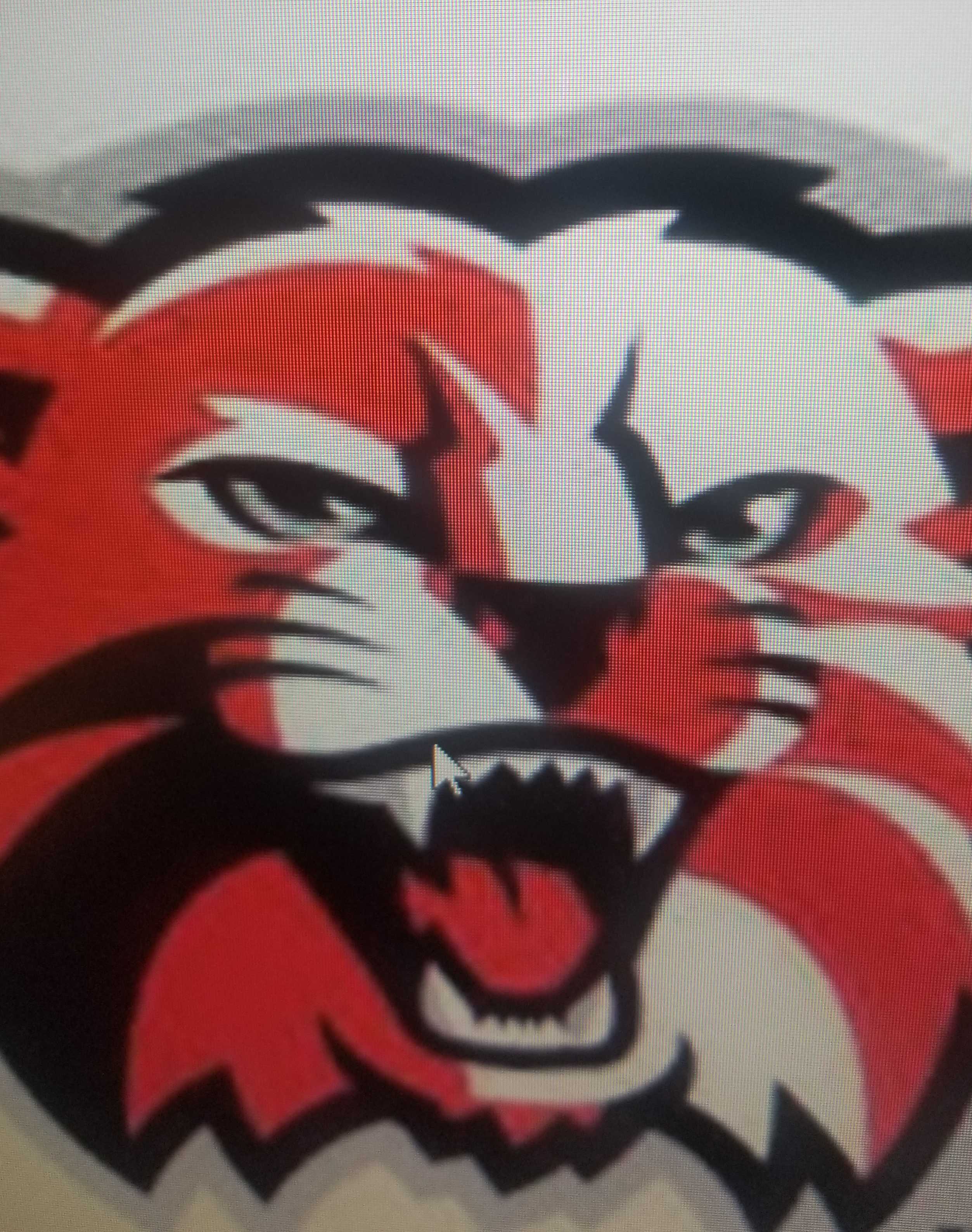 Jay Bostelman mugshot