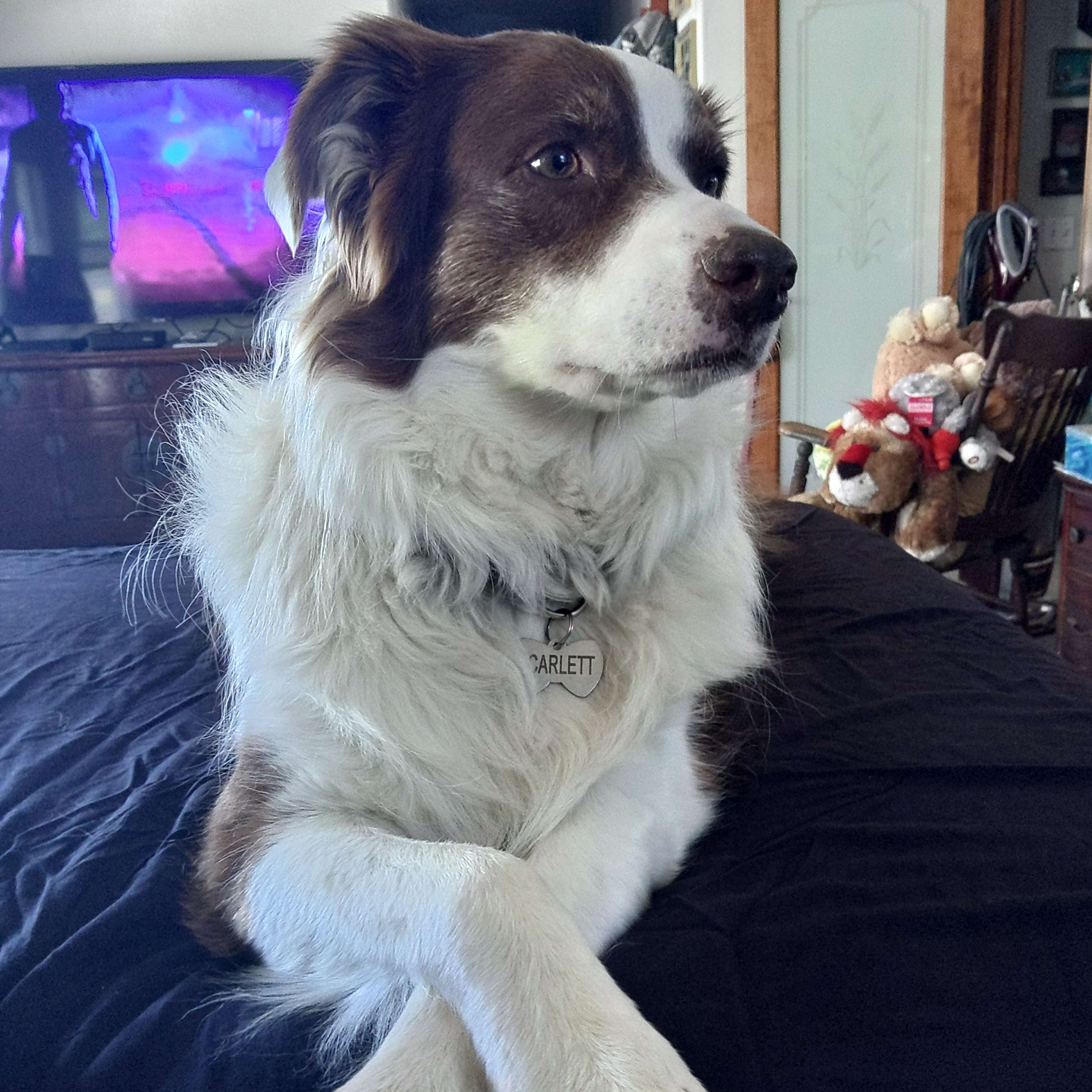 undefined undefined profile photo