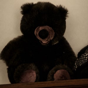 Logan Saddlemire mugshot