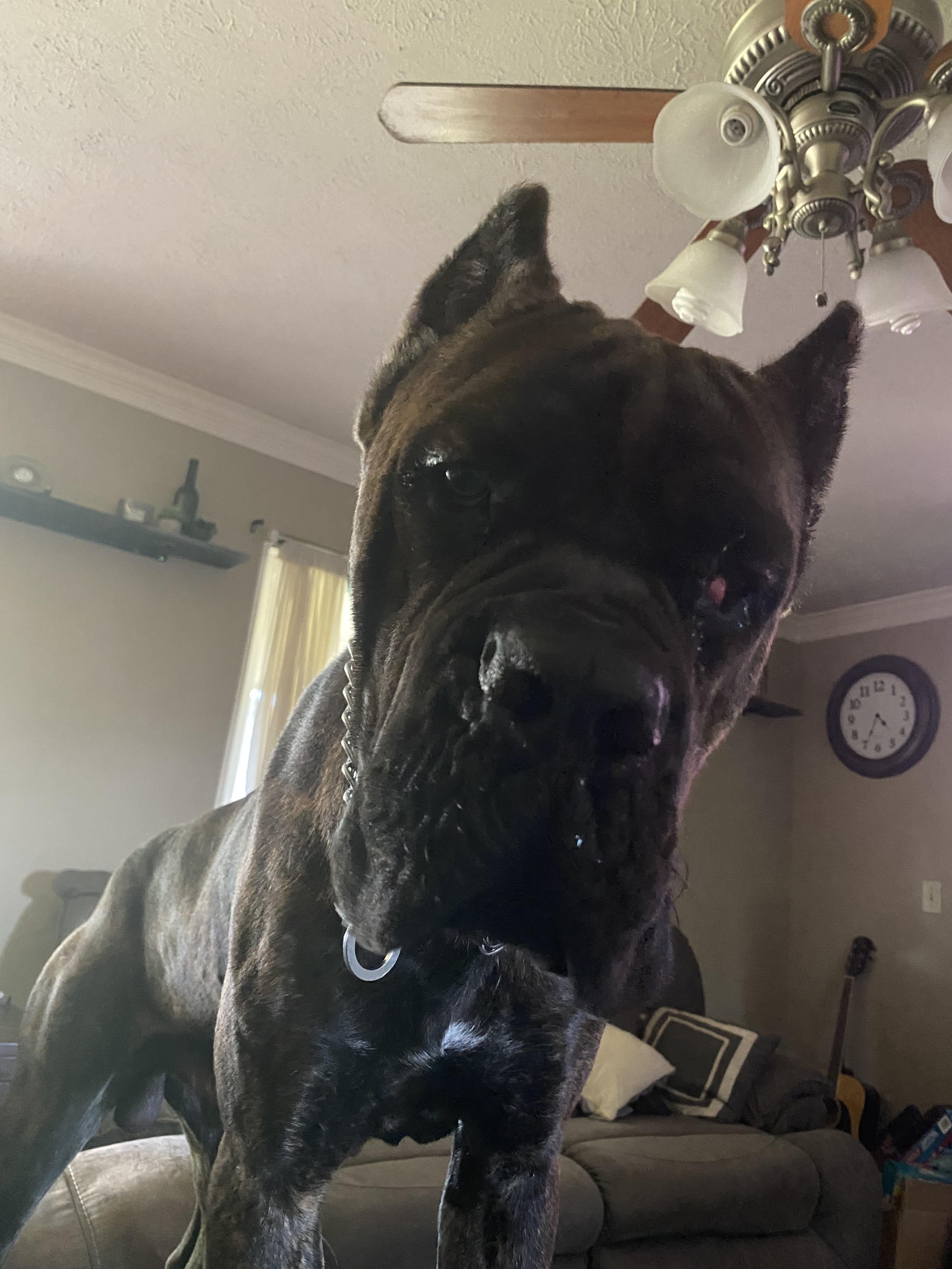 undefined undefined profile photo