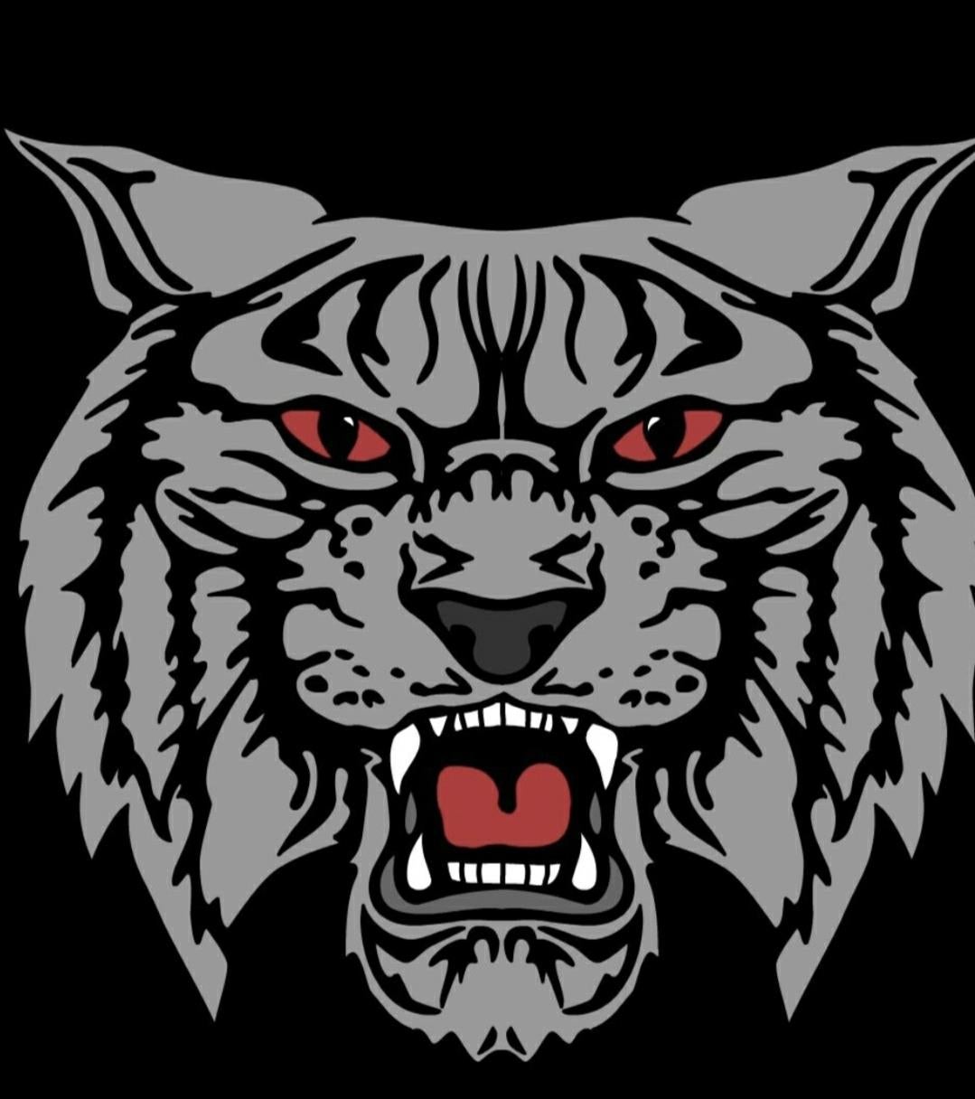 Tracey Gamble mugshot