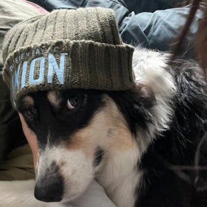 undefined undefined profile photo