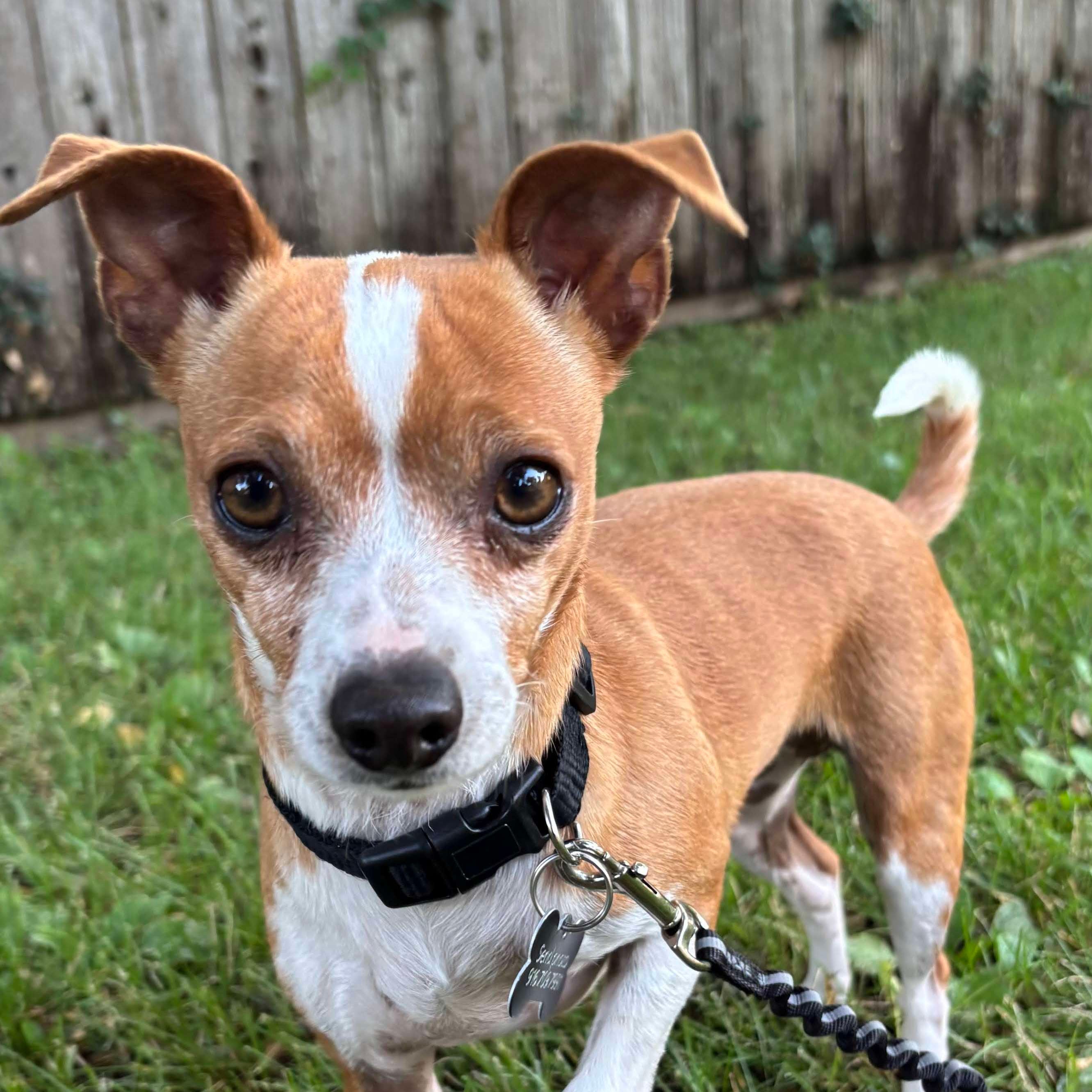 undefined undefined profile photo